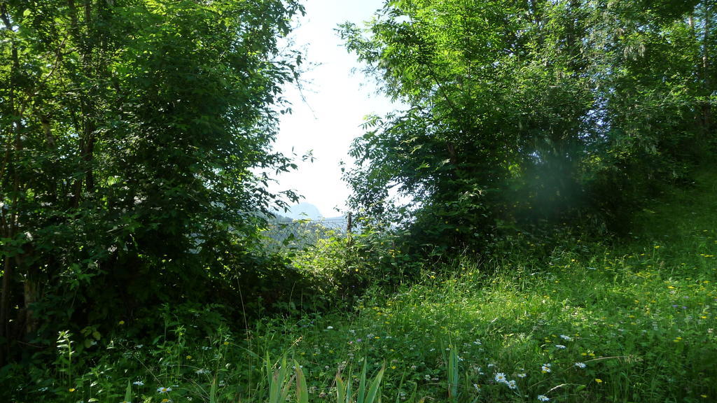 La Chouette A L'Heure Du Pinson Bed and Breakfast Saint-Pierre-d'Entremont  Eksteriør billede